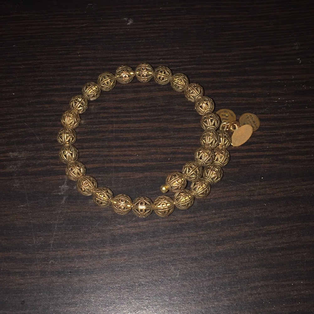 Alex and Ani Bronze wrap around bracelet